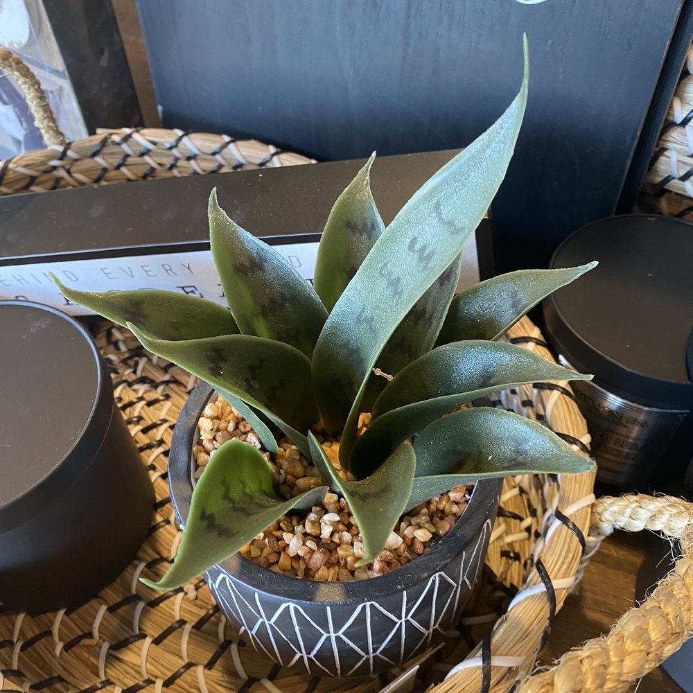 Kirkland's - Best fake greenery around - Home Decor Near Me - Houston, Texas