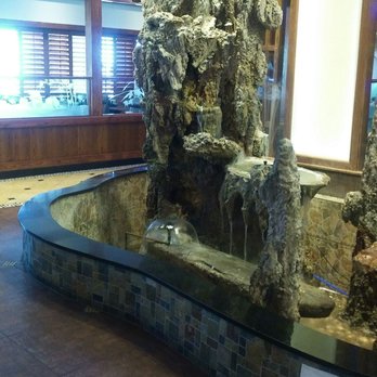 Teppanyaki Grill and Buffet - Buffets Near Me - El Paso, Texas Teppanyaki Grill and Buffet - Buffets Near Me - El Paso, Texas