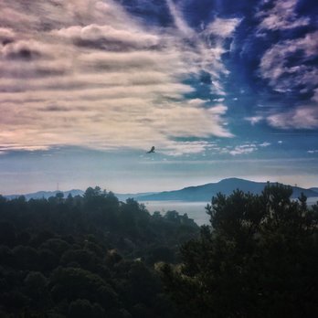 Nicholl Knob - A hawk in the clouds - Hiking Near Me - Richmond, California Nicholl Knob - A hawk in the clouds - Hiking Near Me - Richmond, California