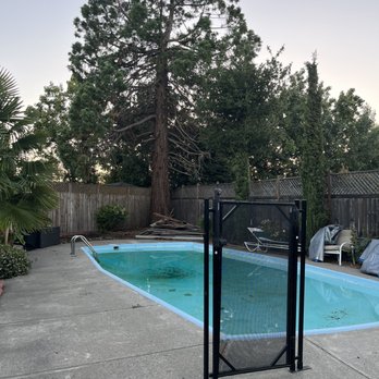 Fernandez Tree Service - Before and after - Tree Services Near Me