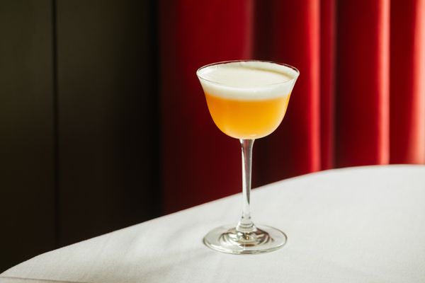 Tucci New York City by null