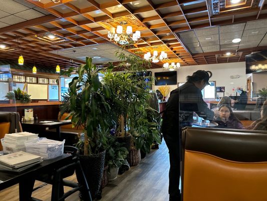 Jimmy's Asian Food Restaurant by null