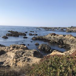 Mendocino Coast - So surreal
