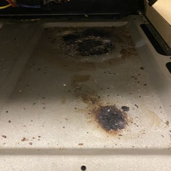 Mountain Valley Apt - Rat feces inside the stove - Apartments Near Me - Morgantown, West Virginia