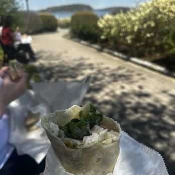 Downeast Deli - Chicken Ranch Avo wrap - Delis Near Me - Bar Harbor, Maine Downeast Deli - Chicken Ranch Avo wrap - Delis Near Me - Bar Harbor, Maine