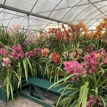 The Flower Fields - Venues & Event Spaces Near Me - Carlsbad, California The Flower Fields - Venues & Event Spaces Near Me - Carlsbad, California