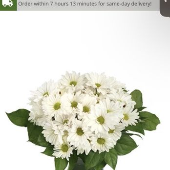 Suntree Florist & Gift - Florists Near Me - Melbourne, Florida Suntree Florist & Gift - Florists Near Me - Melbourne, Florida