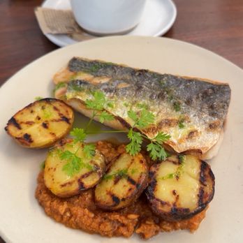 Casa Teresa - Pescado a La Llauna - Spanish Near Me - Washington, DC, District of Columbia