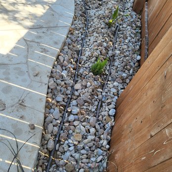 Bluebird Irrigation - Before burying the drip irrigation - Irrigation Near Me Bluebird Irrigation - Before burying the drip irrigation - Irrigation Near Me