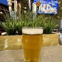 Pilsner on draft