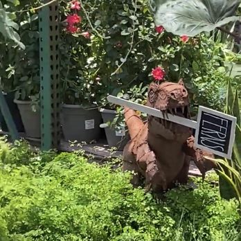 Plant Safari - Nurseries & Gardening Near Me - Upland, California Plant Safari - Nurseries & Gardening Near Me - Upland, California