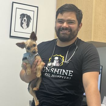Sunshine Animal Hospital - Veterinarians Near Me - Poway, California
