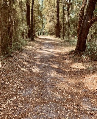 Cannon's Point Preserve by null