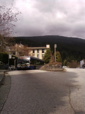 Honey Doughnuts & Goodies by null