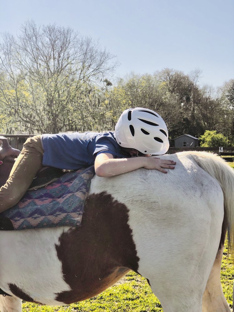 Brighter Pastures - equestrian in Brooker, FL