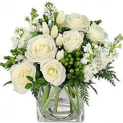 Enchanted Florist and More