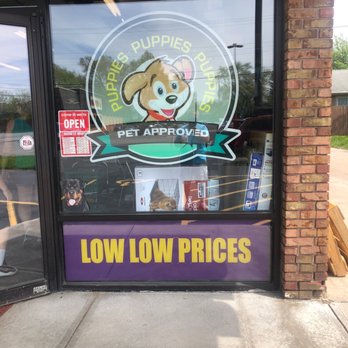 Best In Pets - Pet Stores Near Me - Elyria, Ohio
