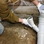 Photo of RDS Plumbing