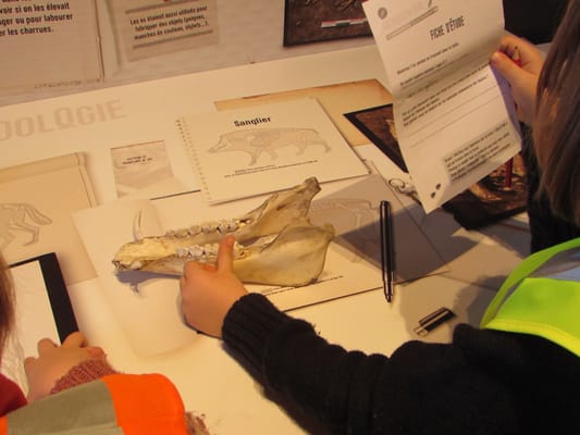 Musée Saint-Raymond by null