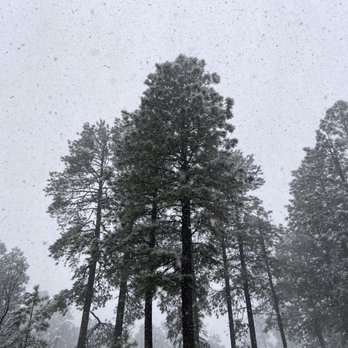 WorldMark Pinetop - Let it snow. - Resorts Near Me - Pinetop, Arizona WorldMark Pinetop - Let it snow. - Resorts Near Me - Pinetop, Arizona