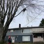 Photo of Fuller Tree Service