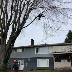 Fuller Tree Service