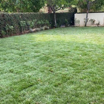 HongHai Realty Services - Landscaping Near Me - Irvine, California