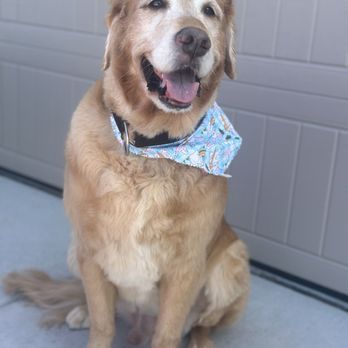 Sunshine Pet Grooming Laveen - Pet Groomers Near Me - Laveen, Arizona Sunshine Pet Grooming Laveen - Pet Groomers Near Me - Laveen, Arizona