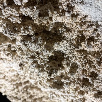 Ruakuri Cave - Tours Near Me - Hamilton, WKO Ruakuri Cave - Tours Near Me - Hamilton, WKO