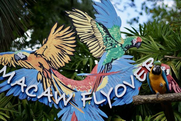 ZooTampa at Lowry Park by null