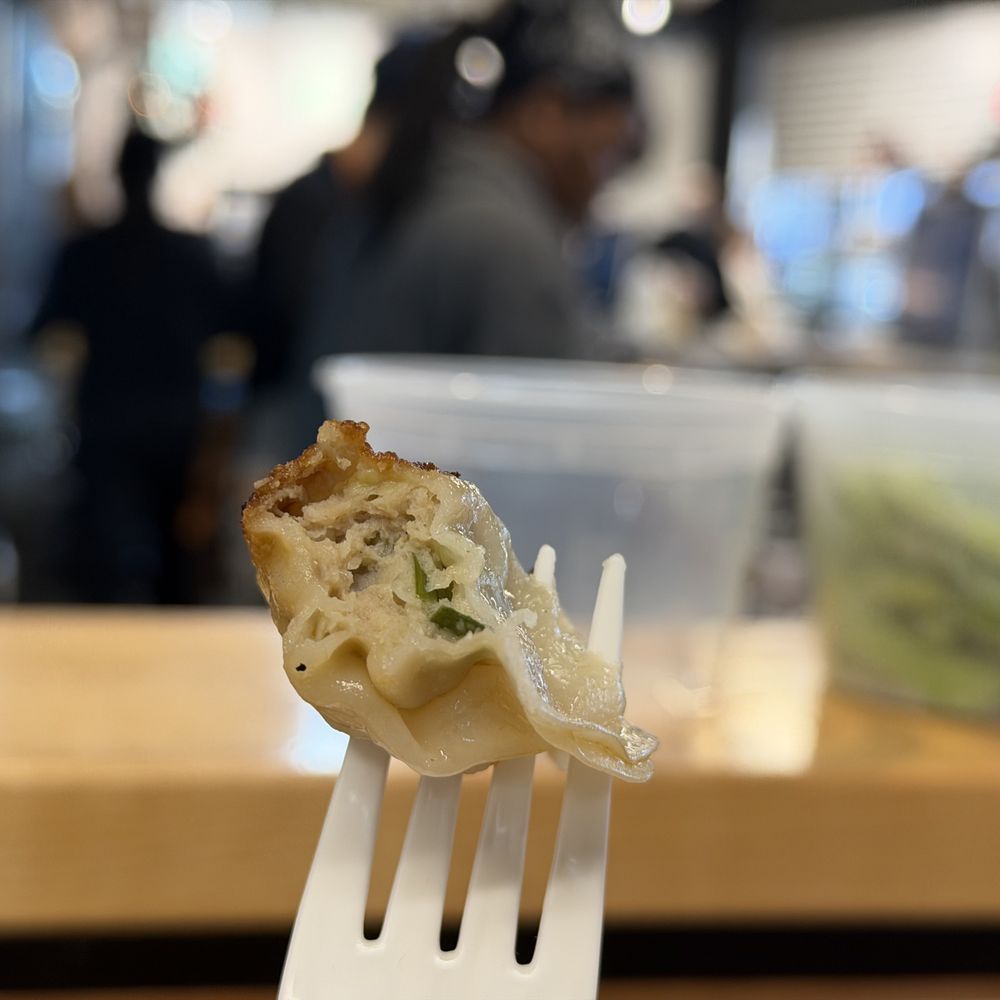 Gyoza (pot stickers) from Satori
