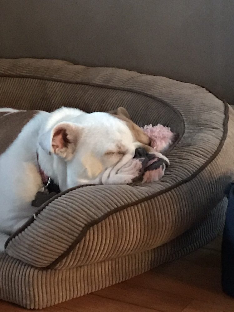 Slide of A Corelli & Son