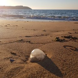 Plage de la Touesse - Plage de la Touesse l'été lors du coucher de soleil