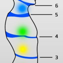Sanctuary - Horizontal planes of fascia can be found at the 7 areas delineated as Chakra points.