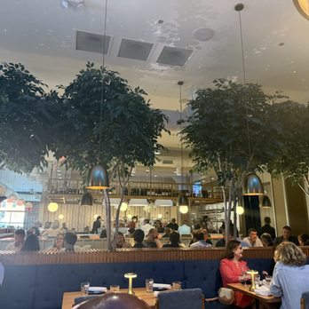 The Finch - Inside - American Near Me - Nashville, Tennessee