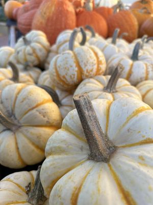 Oliver's Market - Windsor by null