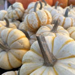 Oliver's Market - Fall colors.