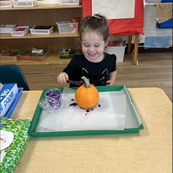 Fountain Valley Montessori