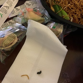 Oak Tree Inn - Dead fly in chow mein - Chinese Near Me - South Pasadena, California Oak Tree Inn - Dead fly in chow mein - Chinese Near Me - South Pasadena, California