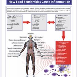 Healthy Selfie - How Food Sensitivities Cause Inflammation