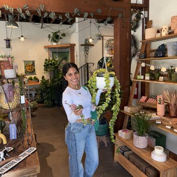 Potted - Home Decor Near Me - Los Angeles, California Potted - Home Decor Near Me - Los Angeles, California