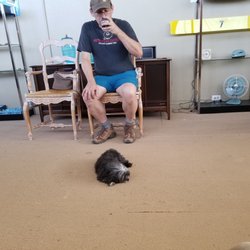 Black Door Wine Company - An adorable little dog that greets you at the tasting room!