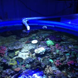 Premium Aquatics
