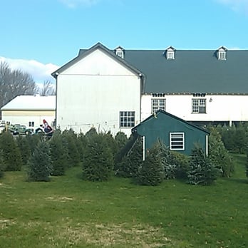 Starlyte Christmas Tree Farm - Landscaping Near Me - Douglassville, Pennsylvania
