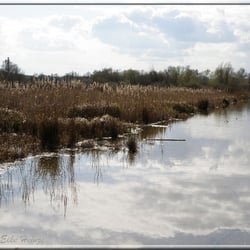 Alter Flugplatz  - Alter Flughafen: Überschwemmung oder See?