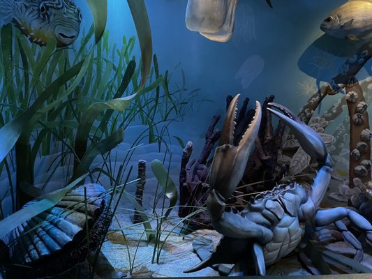 Florida Museum of Natural History by null