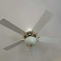 Spot Off Cleaning And Detailing Services - Uncleaned fan in family room