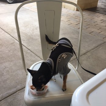 JuiceWell - We love their patio! - Juice Bars & Smoothies Near Me - Houston, Texas