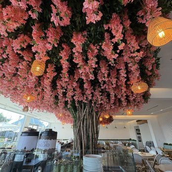 Cocina 35 - Decor - Breakfast & Brunch Near Me - Coronado, California Cocina 35 - Decor - Breakfast & Brunch Near Me - Coronado, California