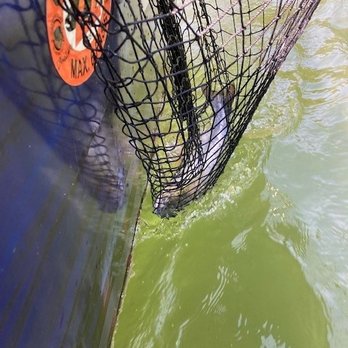 Carsons Guide Service - Fishing Near Me Carsons Guide Service - Fishing Near Me